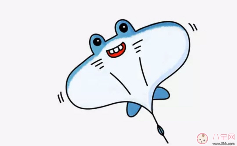 海洋生物趣味多 魚類簡筆畫