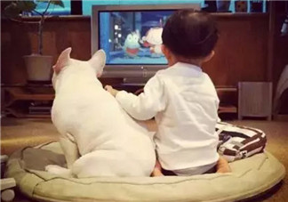 孩子看電視的壞處 孩子看電視上癮怎么辦