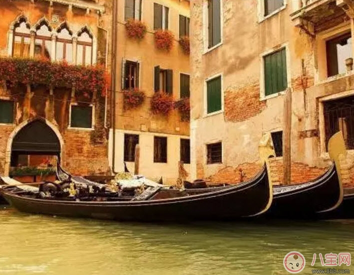 雪梨接受富二代求婚 2017七夕節(jié)最全的求婚攻略