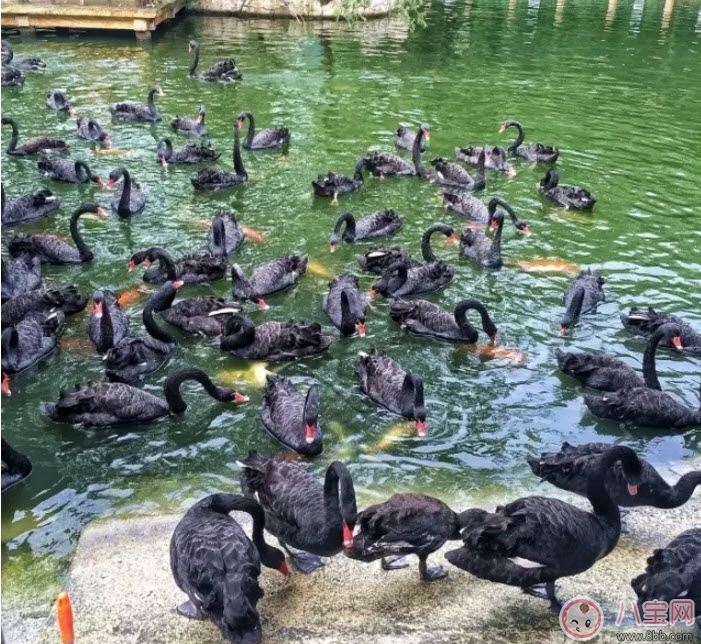 2017七夕節(jié)全家出游攻略 帶娃出行怎么做 2017七夕節(jié)全家出游攻略 帶娃出行怎么做