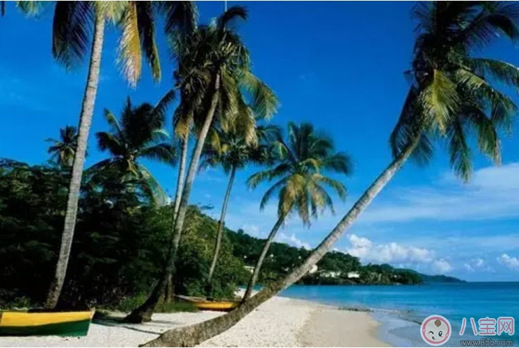 2017七夕節(jié)全家出游攻略 帶娃出行怎么做 2017七夕節(jié)全家出游攻略 帶娃出行怎么做