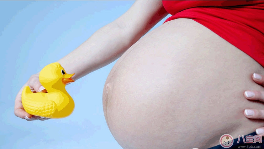 賈靜雯孕期胎教小咘咘來幫忙 二胎胎教這樣做 賈靜雯孕期胎教小咘咘來幫忙 二胎胎教這樣做