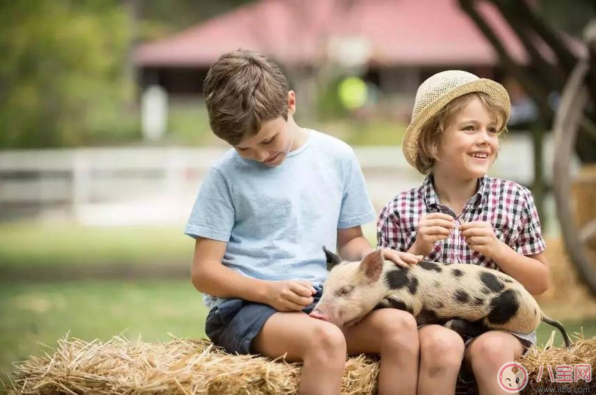 小學(xué)生2天上9個(gè)培訓(xùn)班 孩子暑假如何正確安排