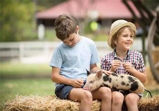 小學(xué)生2天上9個(gè)培訓(xùn)班 孩子暑假如何正確安排