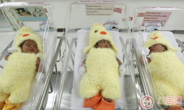 2017年雞寶寶取名禁忌 雞寶寶取名宜用字(男寶寶女寶寶) 2017年雞寶寶取名禁忌 雞寶寶取名宜用字(男寶寶女寶寶)