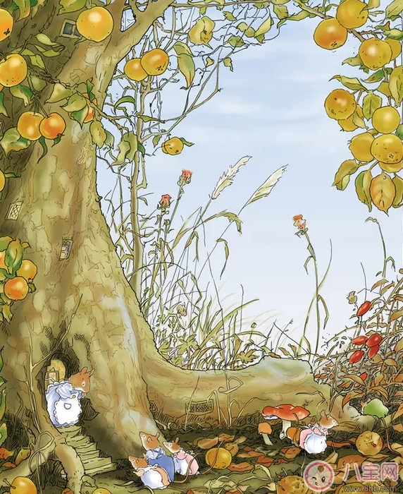 寶寶睡前胎教小故事 幸福的蘋(píng)果樹(shù)