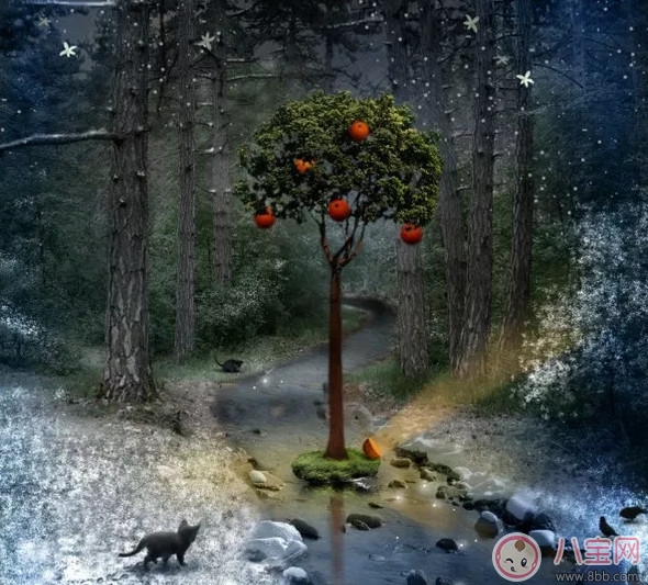 寶寶睡前胎教小故事 幸福的蘋(píng)果樹(shù)