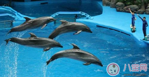 親子游去哪避暑比較好 武漢最佳避暑游玩推薦