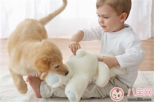 寶寶與家里養(yǎng)的寵物相處注意事項 寶寶與家里養(yǎng)的寵物相處注意事項