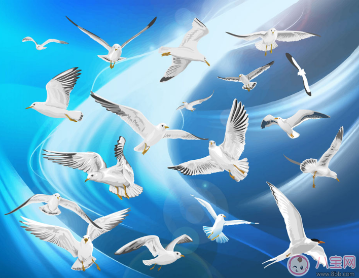 胎寶寶愛聽的胎教故事:勤勞的小鴿子 胎寶寶愛聽的胎教故事:勤勞的小鴿子