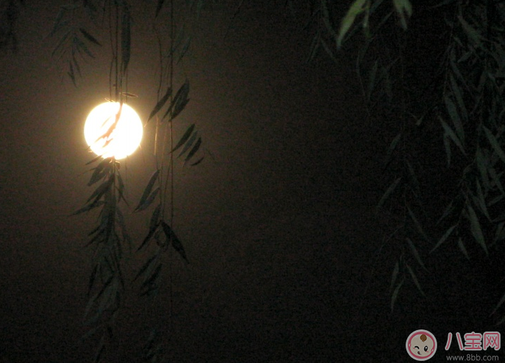 媽媽胎教小故事 魚兒和月亮 媽媽胎教小故事 魚兒和月亮