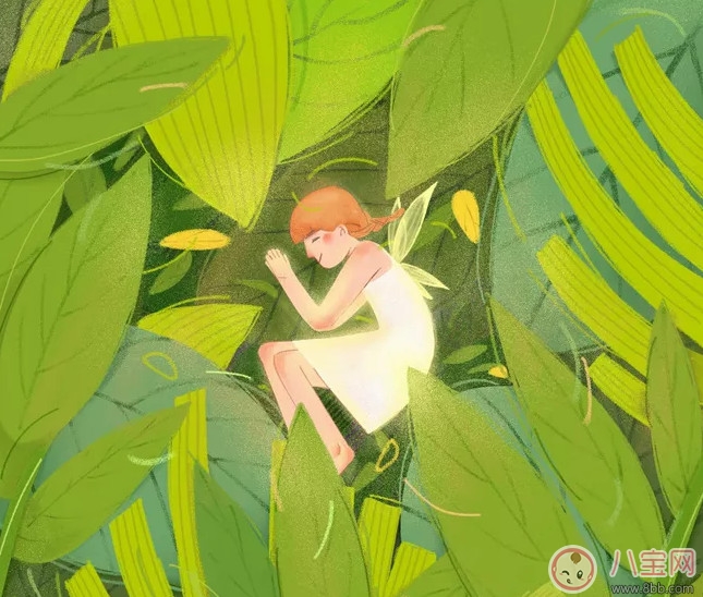 送給精靈寶寶的胎教小故事 夜晚的小精靈 送給精靈寶寶的胎教小故事 夜晚的小精靈