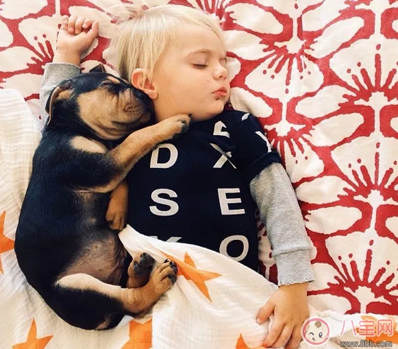 夏天寶寶要不要午睡 小孩夏天午睡好處(有助于幼兒語(yǔ)言發(fā)展)