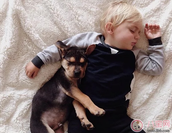 夏天寶寶要不要午睡 小孩夏天午睡好處(有助于幼兒語(yǔ)言發(fā)展)