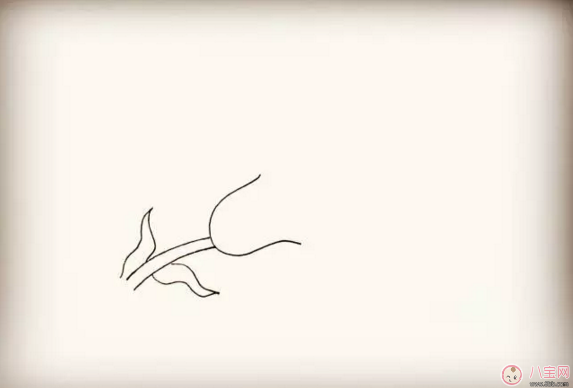 怎么教寶寶花百合花 百合花簡筆畫 怎么教寶寶花百合花 百合花簡筆畫