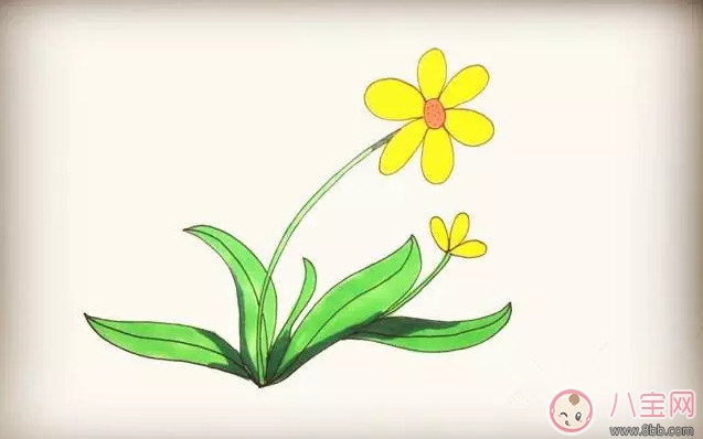 兒童簡筆畫太陽花 太陽花圖片簡筆畫步驟 兒童簡筆畫太陽花 太陽花圖片簡筆畫步驟