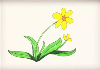 兒童簡筆畫太陽花 太陽花圖片簡筆畫步驟