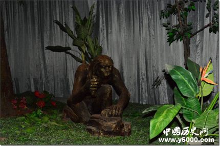 巫山人和元謀人是如何進(jìn)化而來(lái)的？