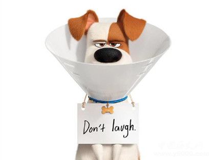 愛寵大機密2劇情故事介紹什么時候上映愛寵大機密觀后感