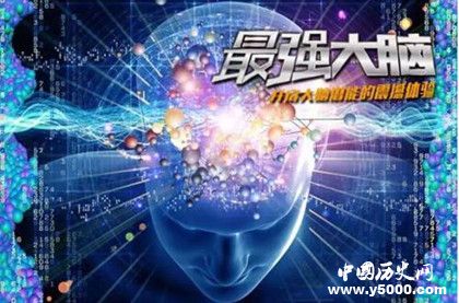 最強(qiáng)大腦之燃燒吧大腦播出時間頻道黃金24席介紹節(jié)目賽制