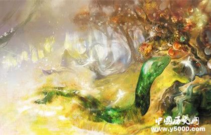 生肖蛇簡介生肖蛇是怎么來的屬蛇的人有哪些性格特點(diǎn)