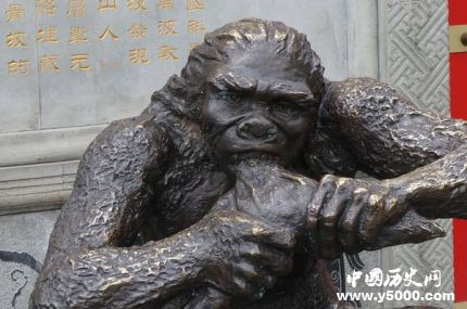 巫山人和元謀人是如何進(jìn)化而來(lái)的？