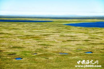 凍土簡(jiǎn)介凍土的分布凍土有什么作用？