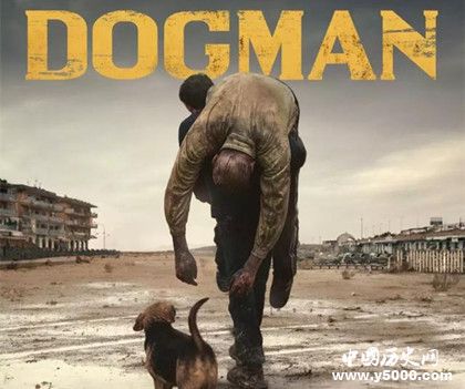 戛納大獎(jiǎng)《犬舍驚魂》劇情詳解：狗男的人生是偉大還是喪