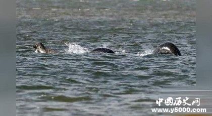 尼斯湖水怪真的存在嗎尼斯湖水怪之謎真相是什么