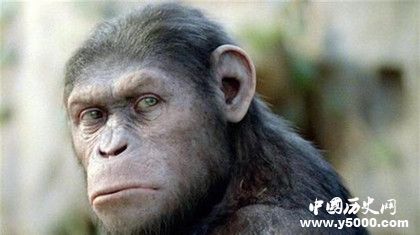 人類是如何形成的？形成人類的基礎(chǔ)條件有哪些？