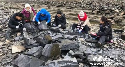 宜昌現(xiàn)清江生物群有哪些價(jià)值和意義？