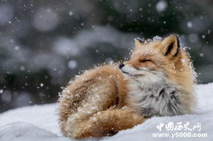 《國家地理》是一本什么樣的雜志國家地理內(nèi)容發(fā)展歷史介紹