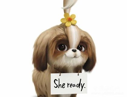 愛寵大機密2劇情故事介紹什么時候上映愛寵大機密觀后感 愛寵大機密2劇情故事介紹什么時候上映愛寵大機密觀后感