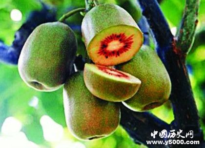 252f23d33f6dd8af31462d020b06fe05.jpg 252f23d33f6dd8af31462d020b06fe05.jpg