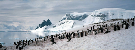 南極洲簡介南極洲形成原因第一個到達南極的人是誰？