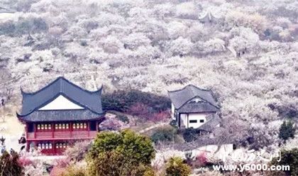 2019春節(jié)自駕游去哪玩兒好春節(jié)自駕游攻略自駕游景點(diǎn)推薦