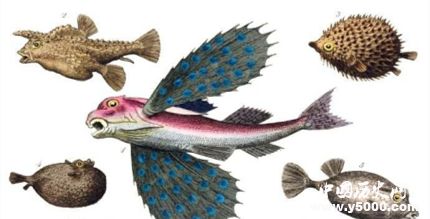 古籍博物志內(nèi)容簡介博物志有什么歷史文學價值？