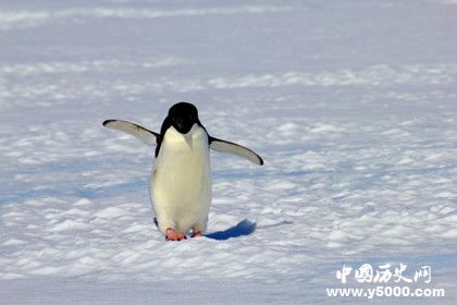 2cfe9c829919265f1e003df333ddea36.jpg 2cfe9c829919265f1e003df333ddea36.jpg