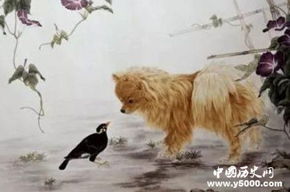 屬狗的人2019年運(yùn)勢怎么樣屬狗的人幸運(yùn)物是什么 屬狗的人2019年運(yùn)勢怎么樣屬狗的人幸運(yùn)物是什么