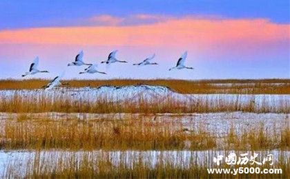 扎龍國家自然保護(hù)區(qū)景點(diǎn)介紹地理位置氣候環(huán)境旅游攻略介紹