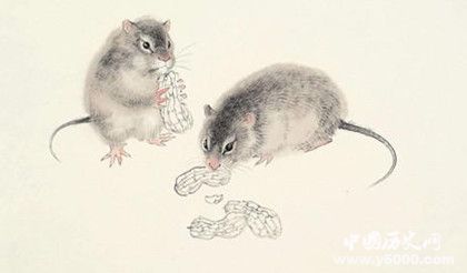 屬鼠的人2019年運勢怎么樣屬鼠的幸運物是什么 屬鼠的人2019年運勢怎么樣屬鼠的幸運物是什么