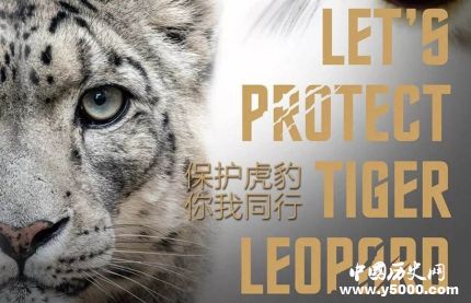 世界野生動植物日簡介世界野生動植物日主題活動有哪些？