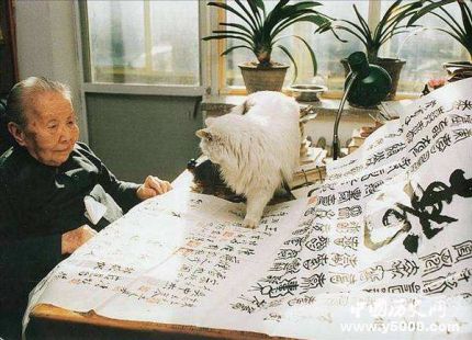 冰心簡(jiǎn)介冰心的作品冰心的原名叫什么？