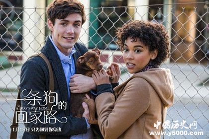 電影《一條狗的回家路》什么時(shí)候上映電影劇情內(nèi)容介紹