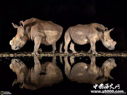 2018國(guó)家地理攝影大賽獲獎(jiǎng)排名國(guó)家地理攝影大賽簡(jiǎn)介