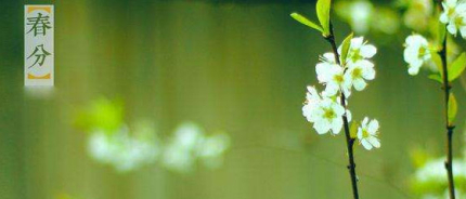 春分傳統(tǒng)習(xí)俗簡介春分吃什么養(yǎng)生？