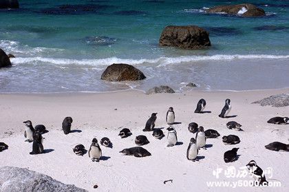 44282eb60fa6414db190b6cf2e56b6dd.jpg 44282eb60fa6414db190b6cf2e56b6dd.jpg