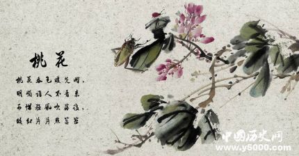 桃花的寓意和象征關(guān)于桃花的詩詞有哪些？