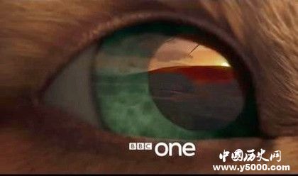 英劇《兔子共和國》劇情內(nèi)容介紹主題曲叫什么原著內(nèi)容介紹 英劇《兔子共和國》劇情內(nèi)容介紹主題曲叫什么原著內(nèi)容介紹