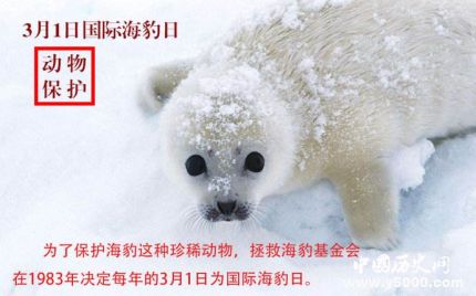 國際海豹日簡介國際海豹日主題國際海豹日的活動有哪些？